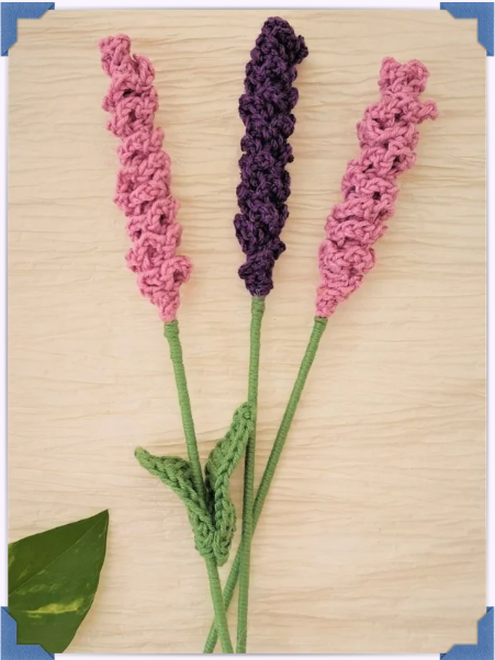 Flores.