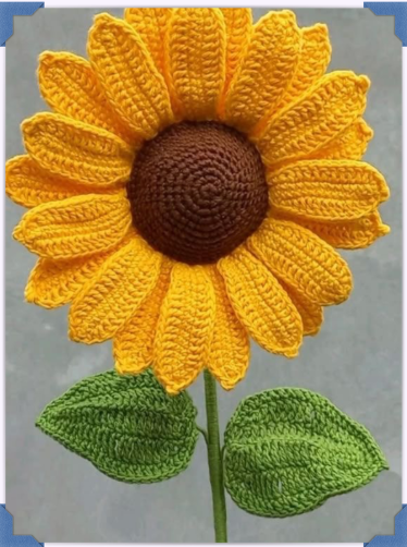 Floresㅤ